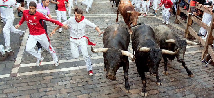 Bull run